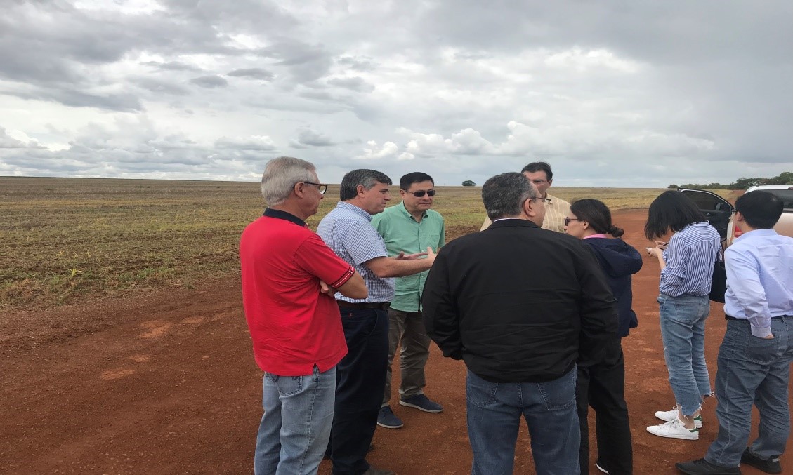 Yang Yi Visits Brazilian Soybean Farms And CCCC South America Yang Yi Visits Brazilian Soybean Farms and CCCC South America Regional Company - Yang Yi Visits Brazilian Soybean Farms And CCCC South America